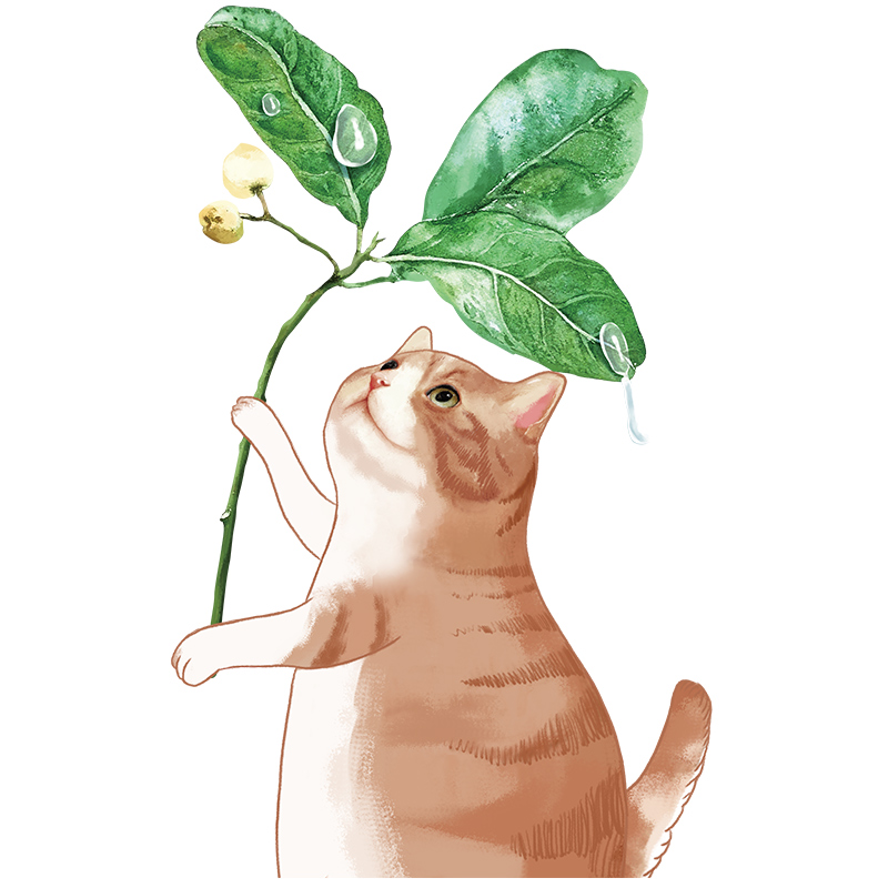 门贴自粘卡通猫咪贴纸创意3d立体墙贴画自粘客厅玄关墙面装饰布置图片