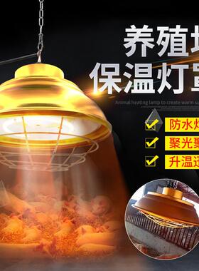卤素保温HQZ灯鸡仔猪取暖灯开养关殖场卤素可调度育雏加热保鸭X温