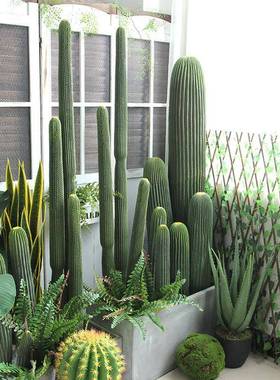 仿真量天尺仙柱无刺假仙40749人掌沙大型摆人件漠绿色物植橱窗造