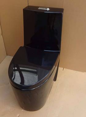 黑超色漩1连体便器101101坐1