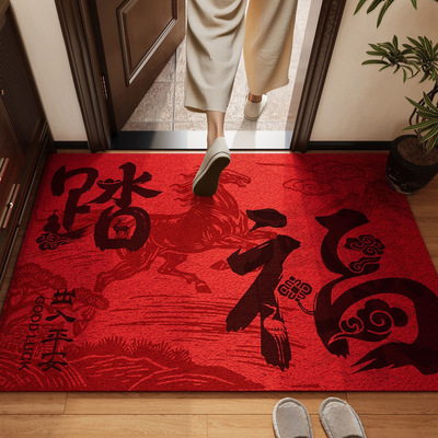 入户门丝圈地垫出入平安进门门口防滑脚垫耐脏玄关地毯入户门垫可
