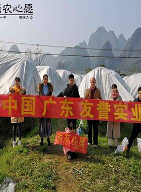 农业轻水布透气QCJ超果树防水白色PP防45克雨厂家无纺透气轻薄