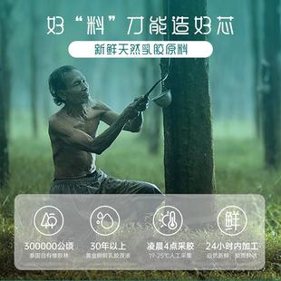 FA胶枕儿童专用芯四季 T头ate儿x天然乳JK 枕童枕透气护泰 自营