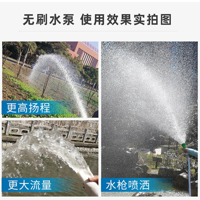 48v直流无刷0不锈钢潜水泵高扬动程动家用电电车6v大功率抽水