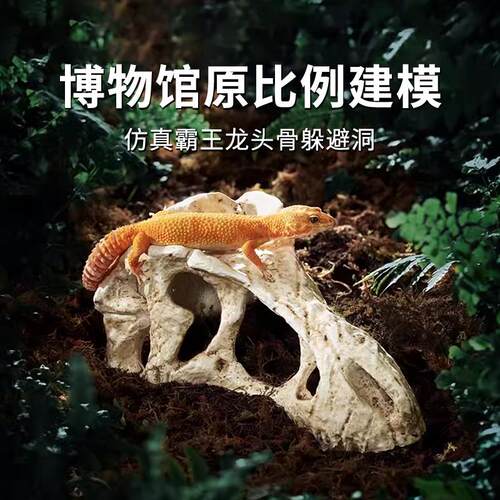 其避鳞恐龙骨爬躲避屋虫守宫蛇躲洞蜥蜴晒背晒台爬宠头饲养箱CZS