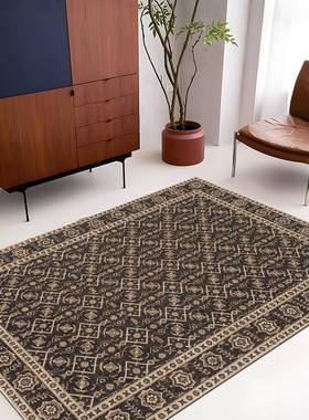 风中古风SOJ奢地毯客厅轻高级感法式复古老钱卧室大面满铺家积用