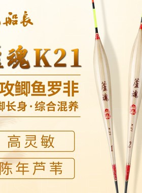 速发船长芦魂B21芦苇综合混养偷驴漂高灵敏漂罗非套装