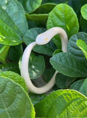 奶呼呼小白蛇缠绕手镯原创手作独特小众复古艺术创意灵蛇手环配饰