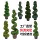 XTm10c仿RUI真米兰草地插树塑2料带地钉螺旋树黄人杨木造绿植盆栽