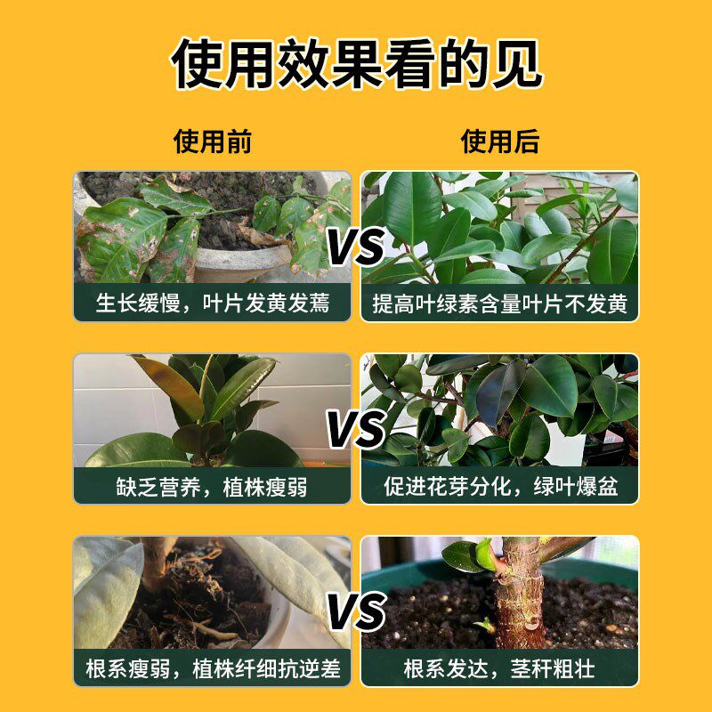 速发树肥料肥缓释肥颗粒黑金刚花叶客厅大盆栽植物花肥复合肥