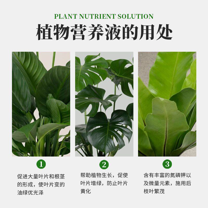 速发植物营养液免稀释通用型室内绿植发财树盆栽叶面肥喷施养花草