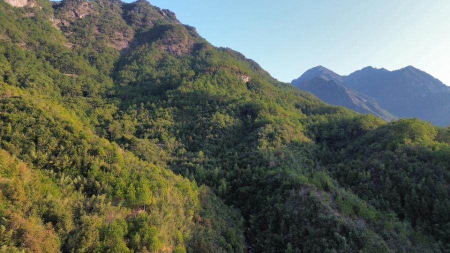 （破）安徽省绩溪县龙鑫农业开发有限公司位于绩溪县伏岭镇成功村民成功村的120亩林权