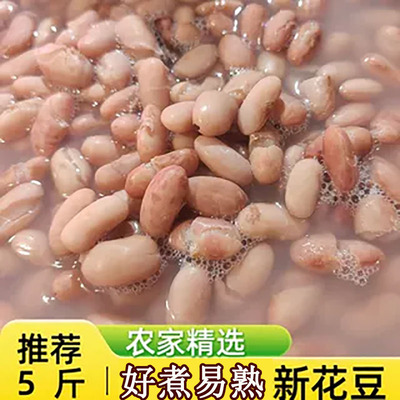 新货花豆四季豆豆子饭豆