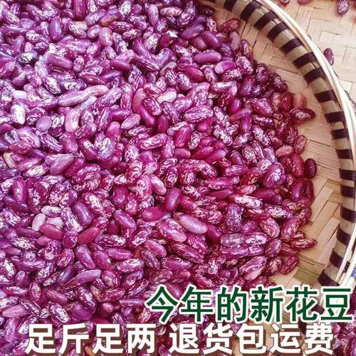 25年贵州豆米新花豆 四季豆米四季豆干货好煮无烂豆10斤包邮