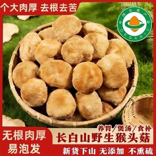 东北长白山猴头菇干货官方年货节正品500g猴头菇粉养胃粉新鲜野生