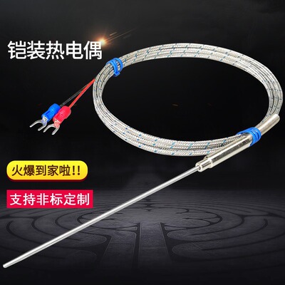 K型铠装热电偶WRNK191耐高温温度