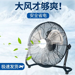 宝龙电风扇家用i台式大风力工业风扇趴地扇工厂落地扇商用强力台