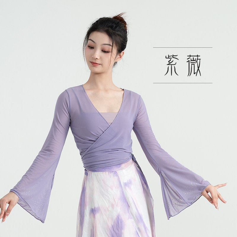 速发古典舞身韵衣网纱练功服袖带钻中国舞上服网纱老师舞蹈服纱衣