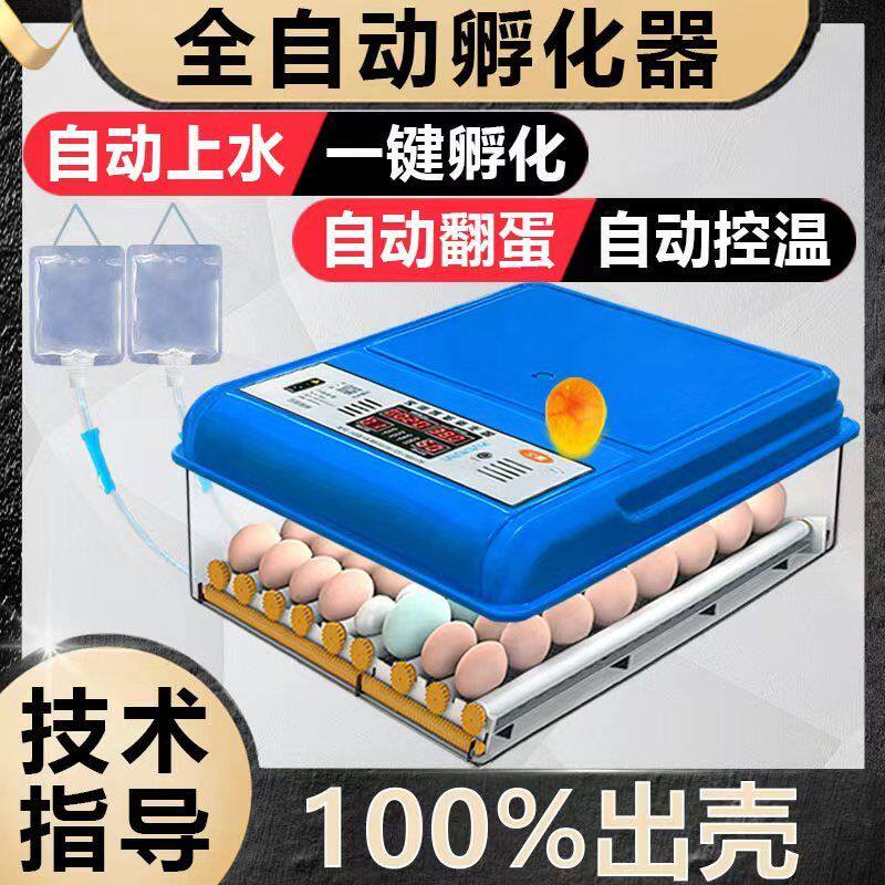 速发(永)厂家直销兴家用全自动小型器鸭鹅鸽子鹌鹑孵化机孵蛋鸡孵