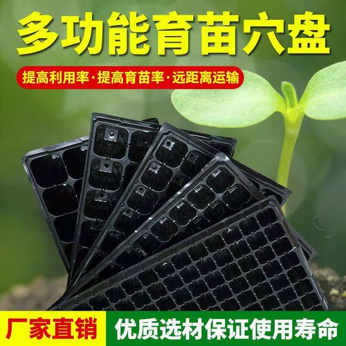 速发育苗穴盘种植神器套装营养钵蔬菜多肉扦插盒托盘发芽苗播种玉