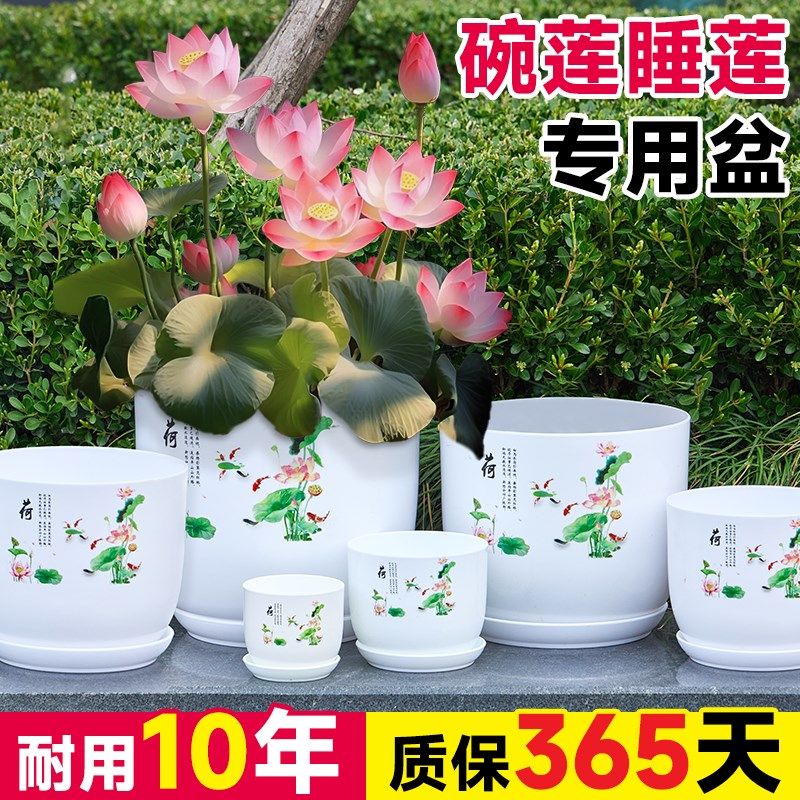 速发碗莲睡莲专用加仿陶脂树瓷塑料盆厚大口径无孔水培花卉水养荷