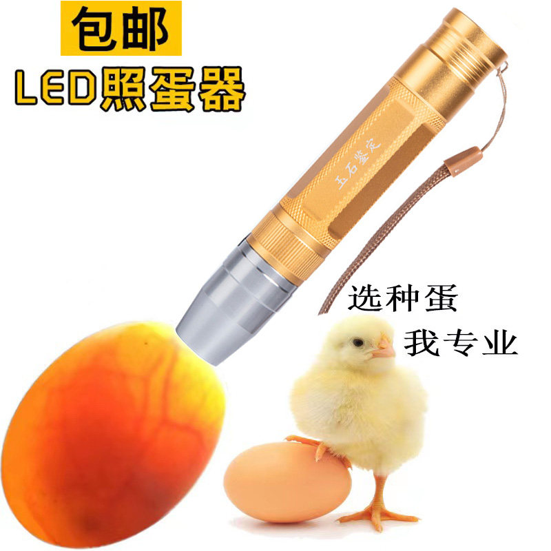速发鹌冷光照蛋手电筒观察种蛋受精孵化照鸡蛋鸽子蛋强鹑蛋玉石灯
