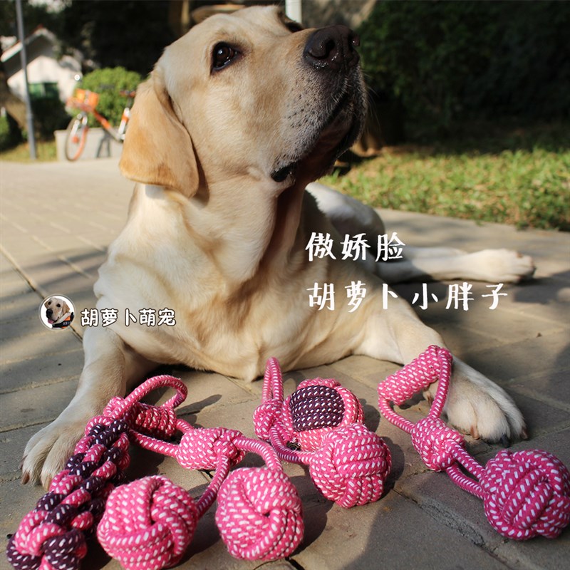 速发5多玩具套装耐咬绳结互动棉绳磨牙棒金毛拉布拉个泰迪咬胶球