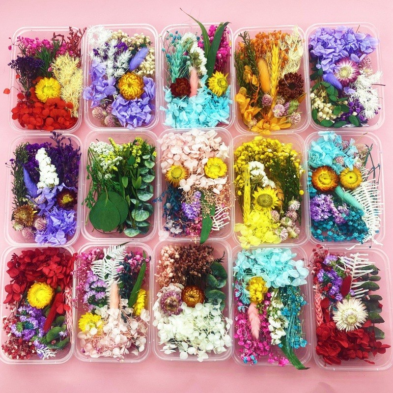 速发永混花干花材料生包装花盒混合干花相框空白团扇永生花瓣包邮