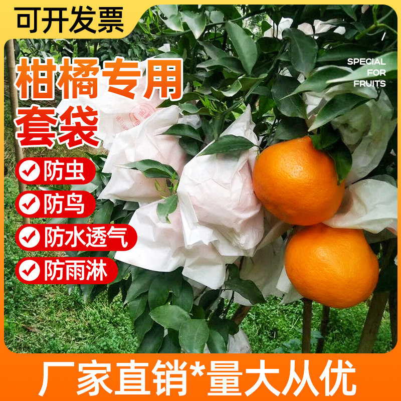 速发柑橘套袋专耙袋橘丑果套袋子橘橙子耙用柑火脐橙石榴水果通用