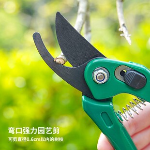 速发园艺剪刀园林修枝剪果树剪树枝花艺花剪盆用家景花卉剪刀