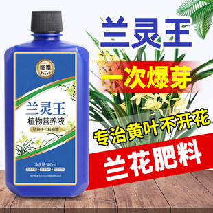 速发兰兰王灵花专用肥营养王肥料促花多箭兰菌药兰科兰陵液活