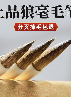 速发玉水湖笔庄毛笔专用专业级狼毫兼毫套装初学羊毫中楷初毫者楷