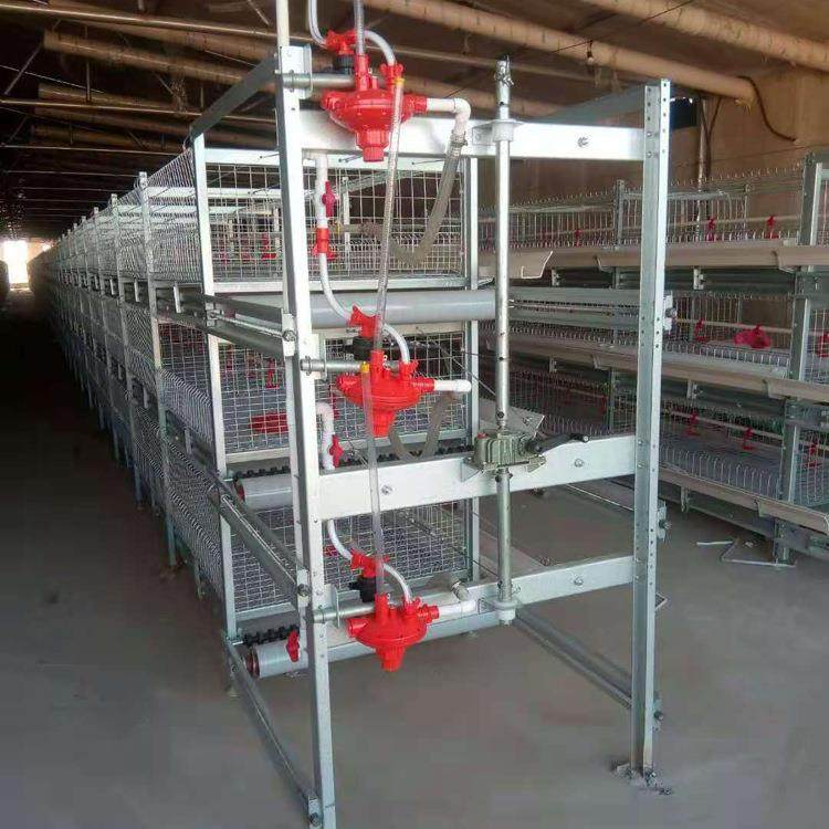 全自动肉鸡笼鸡舍半自动肉鸡笼热镀锌冷镀锌养殖场用鸡笼,畜牧/养殖物资,特种养殖设备,淘宝优惠券,粉丝福利购,淘宝优惠卷