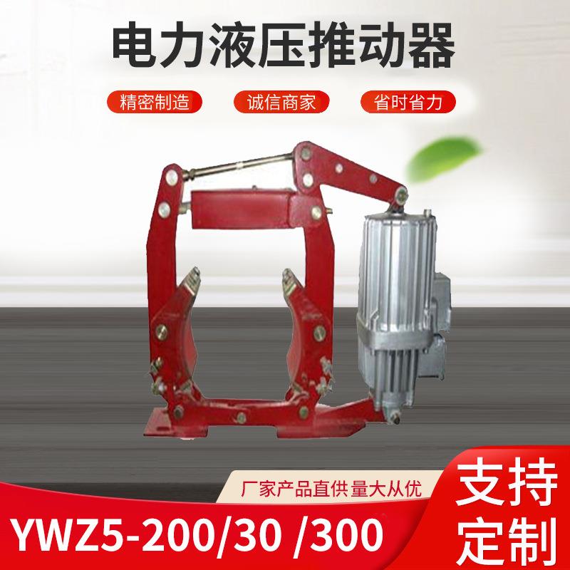 电力液压推动器YWZ5-200/30/300/90YWZ5-300/50