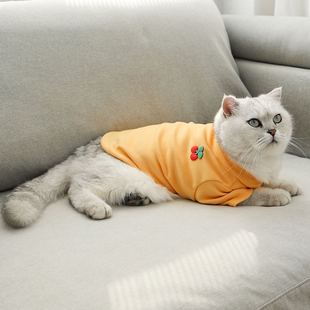 Polo领四季 IBEANS宠物春秋打底衫 百搭磨毛狗狗衣服T恤莫兰迪内搭