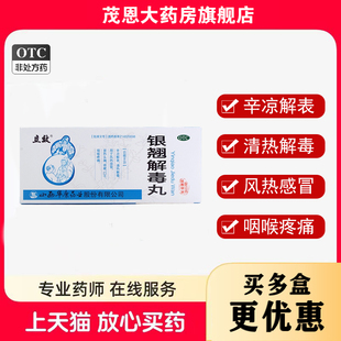 立效 银翘解毒丸 9g*10丸/盒辛凉解表清热解毒【效期至26年7月