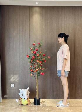 仿真石榴落树大型仿生绿植窗新中室内客厅地橱20241216景式观盆栽