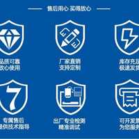 SKISIA高重型電缸電動缸 電動推桿 步進(jìn)伺服直線大推力 工業(yè)