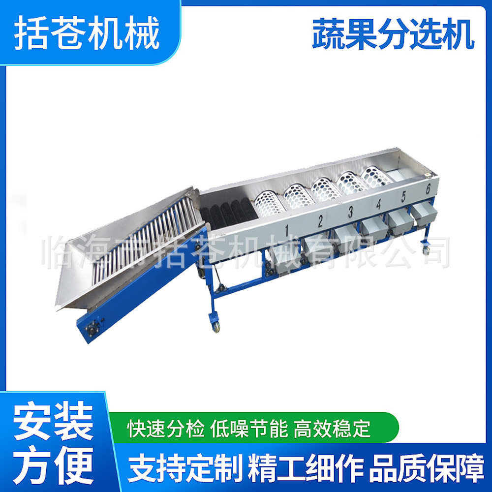 新爆款沃柑砂糖橘柑橘自动上料斗提升清洁分级机耗电小移动方便