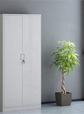 天津文凭件柜办公室铁柜皮钢制档案DEA资料物文件证柜玻璃通体储