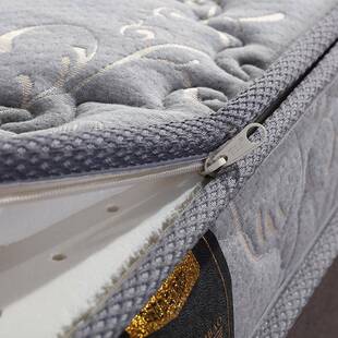 t棕垫椰棕床垫席梦思乳胶RMH硬棕榈1.5f1.8m济经型米折叠定做