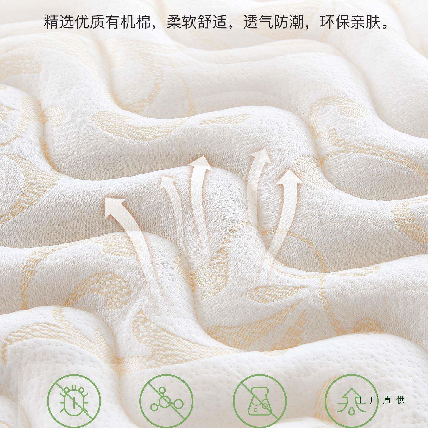 天然椰棕床垫偏硬垫子纯家用卧室儿19童护薄脊腰乳胶1cm厚020榈定