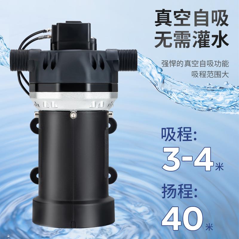 动型小柴油泵动抽油泵加油泵自动启停电12V电24V200FXMW20升每分