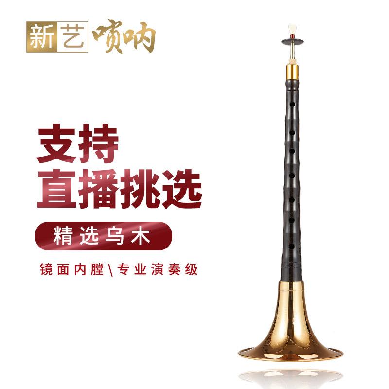 调浅竺呐叭乐器全套初学者成人ZLtb-548演奏乌木D调降B民间唢喇乐