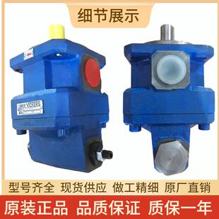 2R06.3GPA2 20R6 上海机床厂磨床齿轮KCF泵GPA11