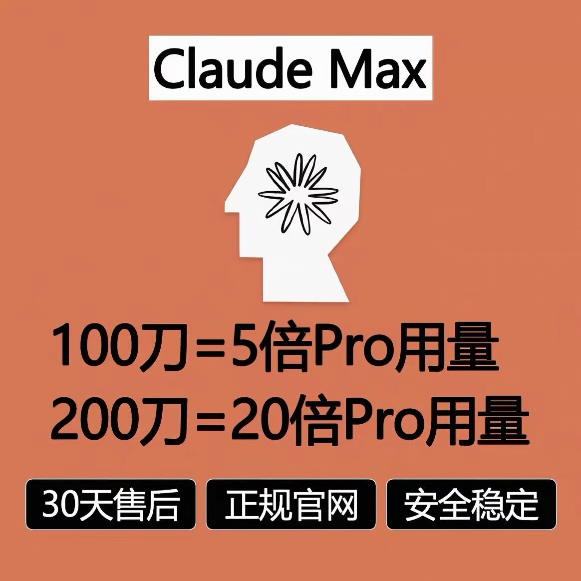 官方白名单 Claude Max 代充官网直登｜5-20倍超大配额｜30天质保