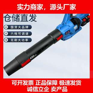 德国十大品牌锂电吹风机DCQF40171无刷工业级施工除尘器大功率鼓