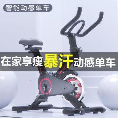 智能动感单车家用室内健身车豪华健身房器材减肥超静音运动自行车
