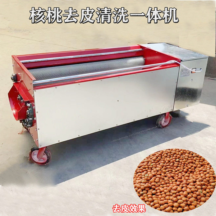 青核桃去皮清洗一体机商用自动核桃剥皮机小型去核桃脱皮青皮机