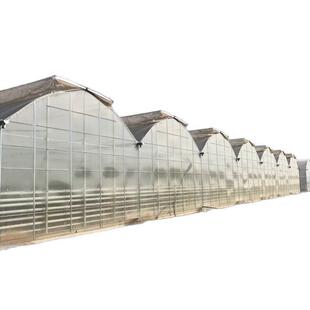 温室大棚棚架开窗连栋工程镀锌大棚椭圆管大棚全套育苗花卉种植棚